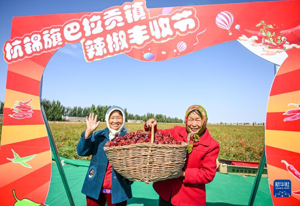 腾博官网诚信本专业